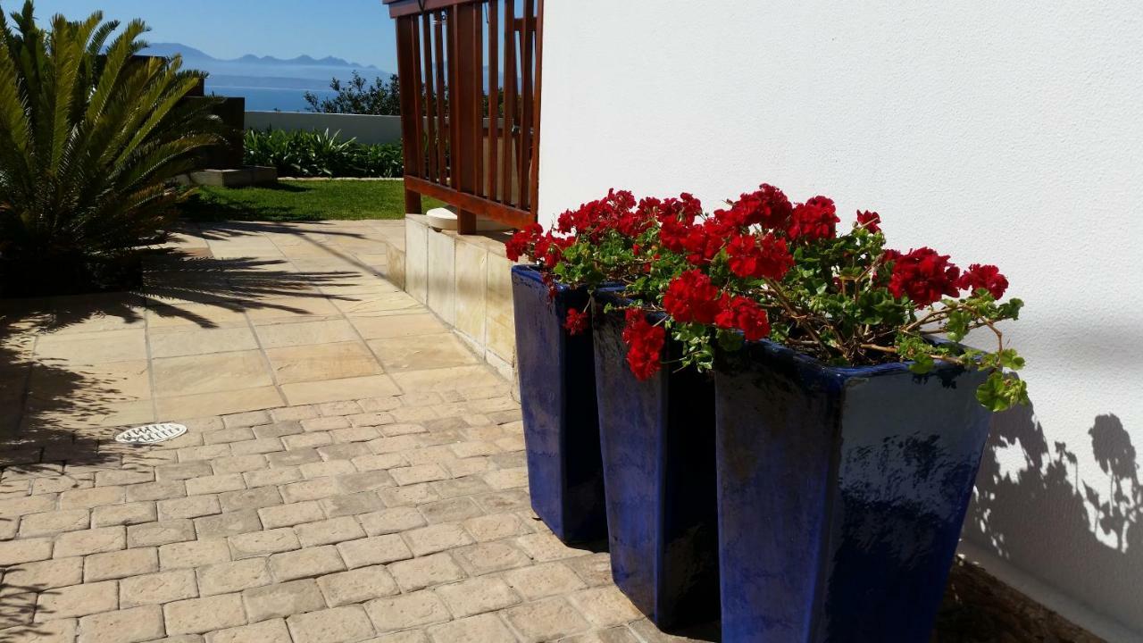 Aquamarine Guest House Mossel Bay Exterior photo