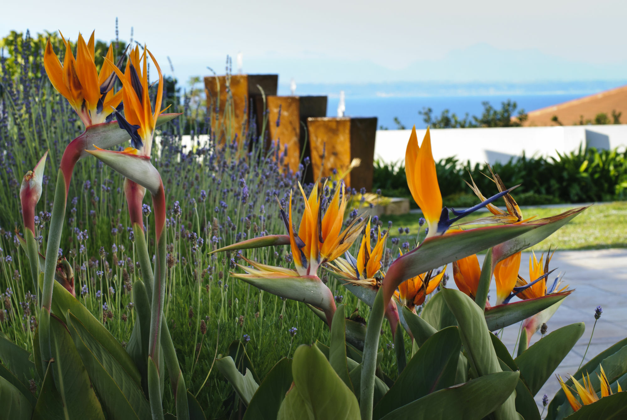 Aquamarine Guest House Mossel Bay Exterior photo